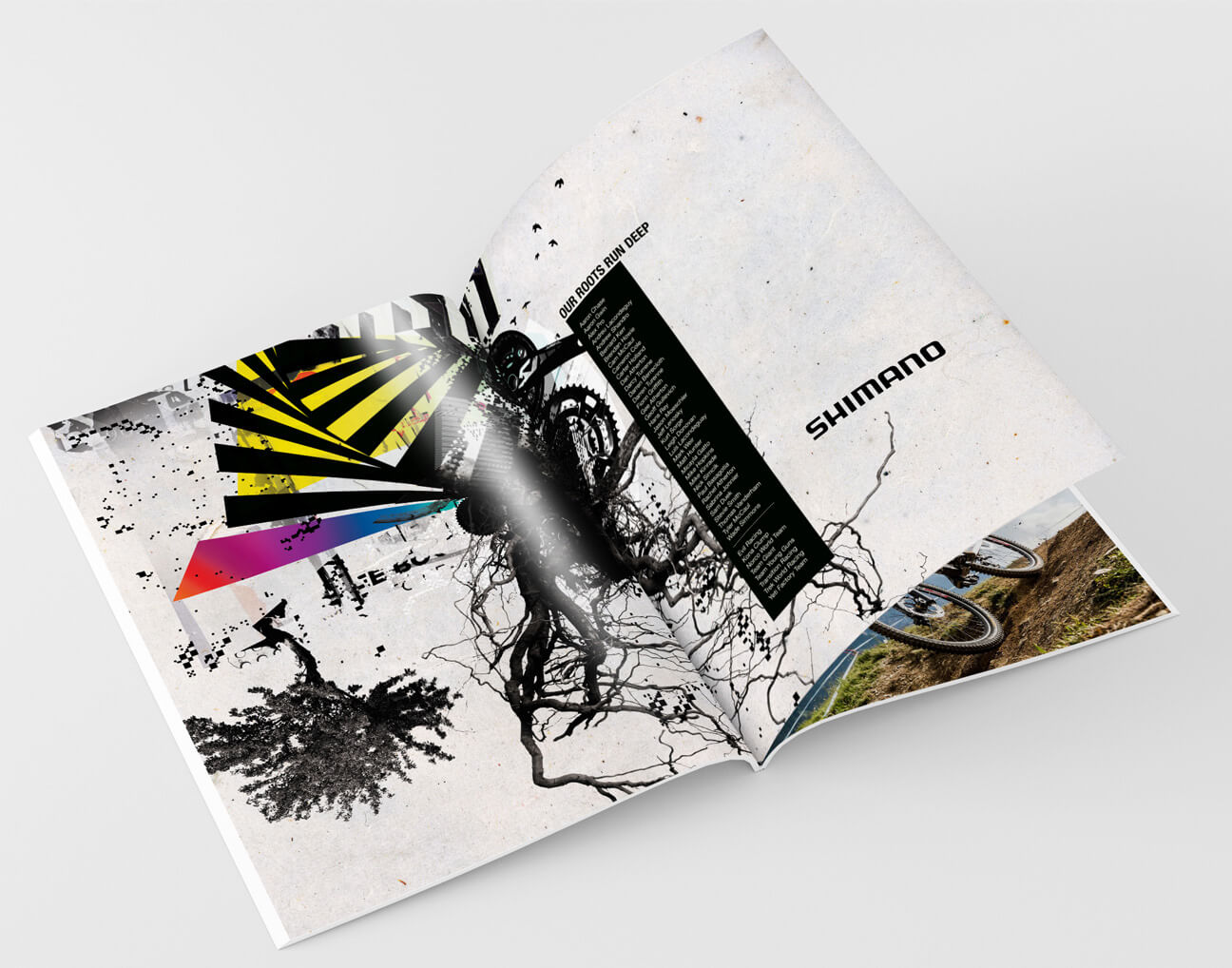 Shimano by Reakt
